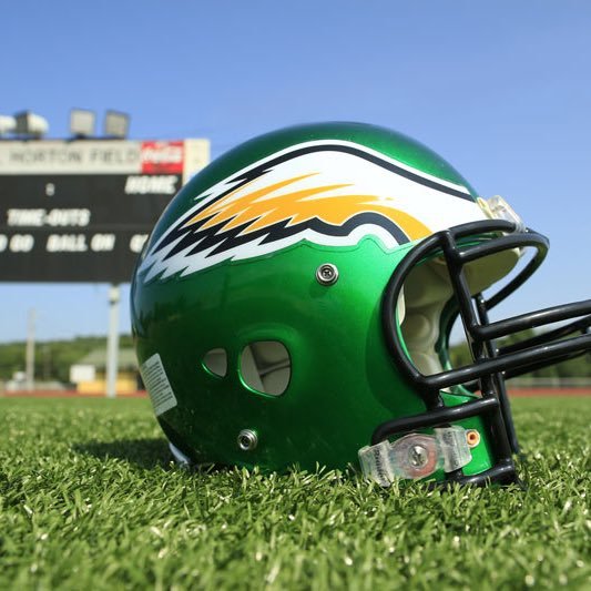 Rchs_birdGang's profile picture. official student section page for the rhea county golden eagles. #EaglePride