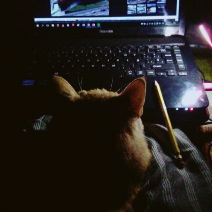 aq98pame's profile picture. ARCHITECTURE 😍