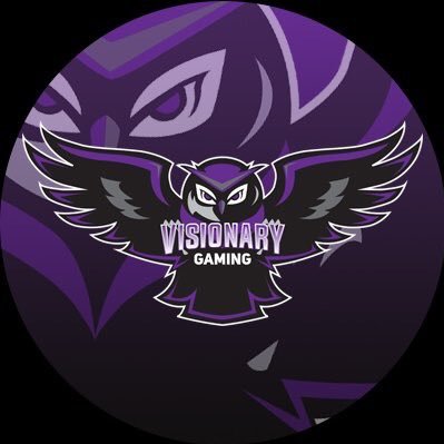 Premier Gaming Organization EST 2017 #HeadsUp Business Inquiries: visionryesports@gmail.com