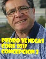 Candidato Core 2017 por Concepcion 3; Sn Pedro la Paz; Coronel; Lota; Sta Juanay Hualqui; exConcejal Sn Pedro de la Paz.