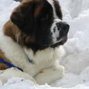 Matt Marrs - @mmarrs - Twitter