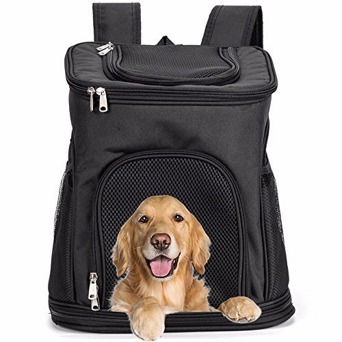 dogcarseat2's profile picture. Find the best dog shock collar with remote, wireless dog fence systems, indestructible dog bed, dog carriers for small dogs, probiotics for dogs for sale