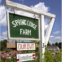 Springledge Farm (@springledge) 's Twitter Profile