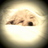 friedakerm's profile image