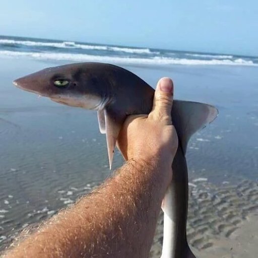 theo_astc's profile picture. Gère-toi.