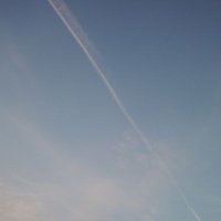 あなぐまR (@kayanoki_c5) 's Twitter Profile