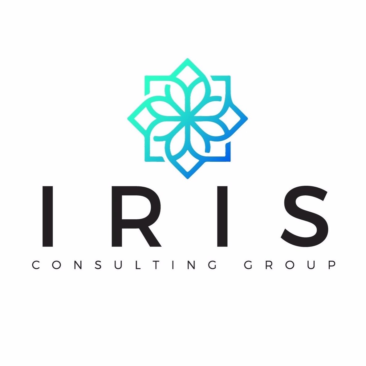 weareirisgroup's profile picture. Iris Consulting Group's team represents huge names in the telecommunications industry. We are meet with their current and potential customers.