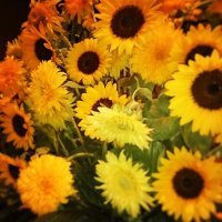 れいこ☺레이코☺REIKO (@reiko_d) 's Twitter Profile Photo れいこ☺레이코☺REIKO (@reiko_d) 's Twitter Profile Photo