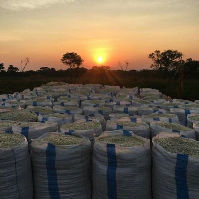 Ndotafarms2's profile picture. Farmer at Morogoro Tanzania.