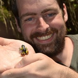 Herpetologist (Batrachologist) | Conservationist | Zoo Keeper | Explorer | Amphibian Keeper | Wildlife Photographer | Associate Partner at @amphibiansorg |