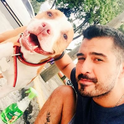 Fluye y todo lo demás se moverá. El viento y el árbol.