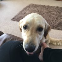 mila moo cooper (@advenduresjess) 's Twitter Profile
