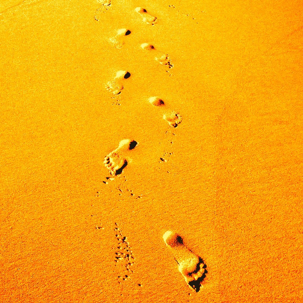 andrea_ahend24's profile picture. 