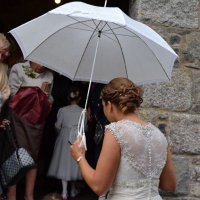 Colette MacLean (@macleancolette) 's Twitter Profile