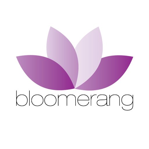 Bloomerang Solutions