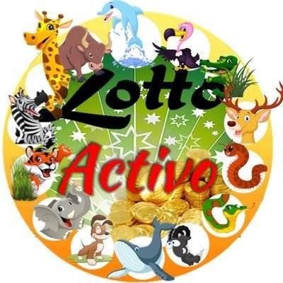 LottActivo's profile picture. Datos fijos, para toda la semana 

Para mas información escribir al numero de teléfono:
04242094075 ----SOLO WHATSAPP----