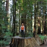 Jennifer L Bryan PhD (@drjennbryan) 's Twitter Profile