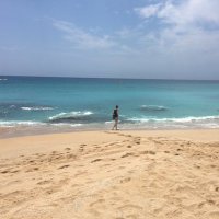 Berenike Prem (@realbeke) 's Twitter Profile