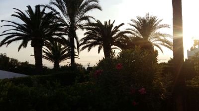 pilareta10's profile picture. 