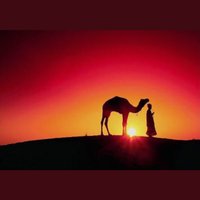احدهم (@ec_xcx) 's Twitter Profile