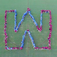 Wakefield Strong (@wakefieldstrong) 's Twitter Profile Photo