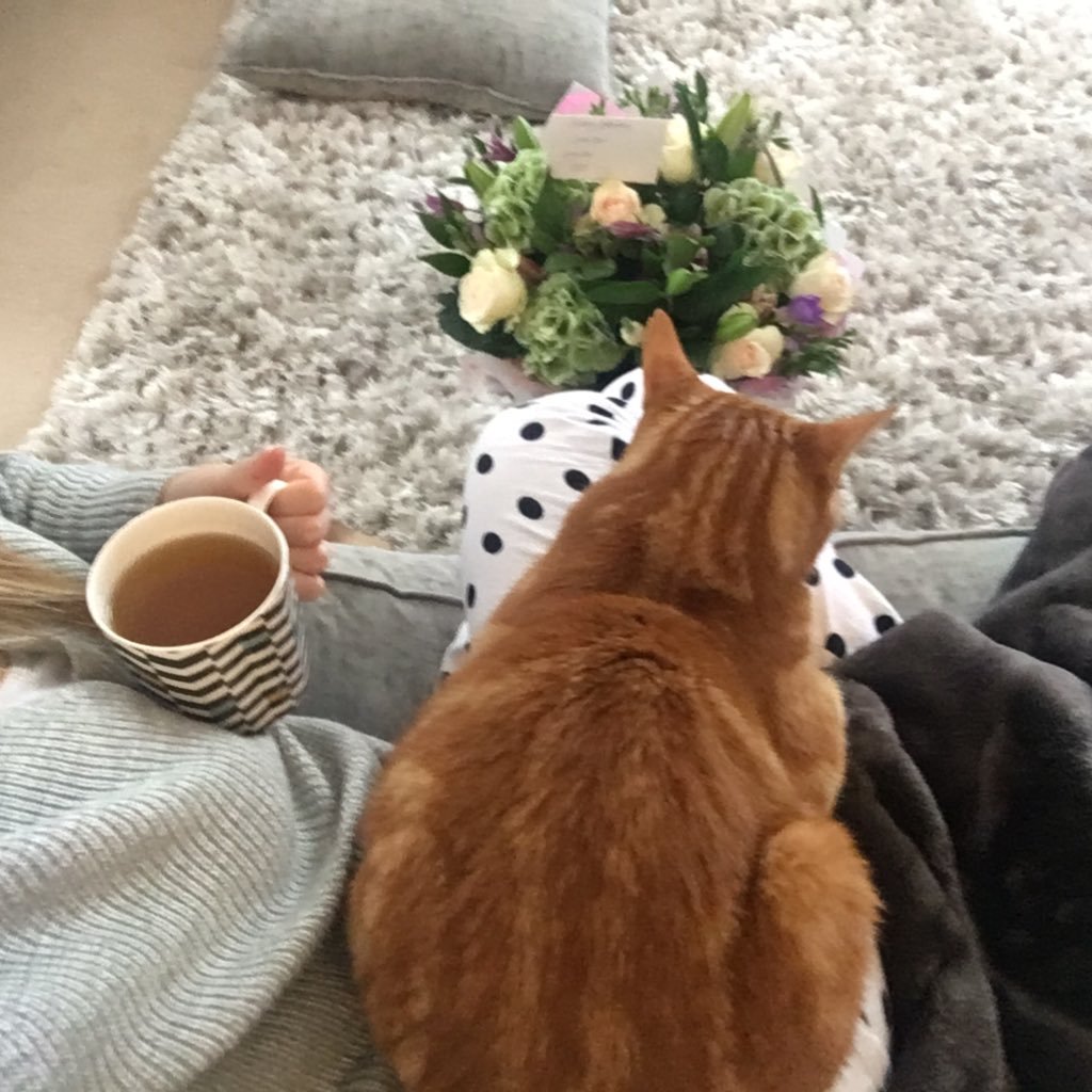 mazcox's profile picture. 