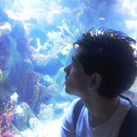 Pablo Snoopy (@pablosnoo) 's Twitter Profile