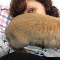 hila (@hilamiley) 's Twitter Profile