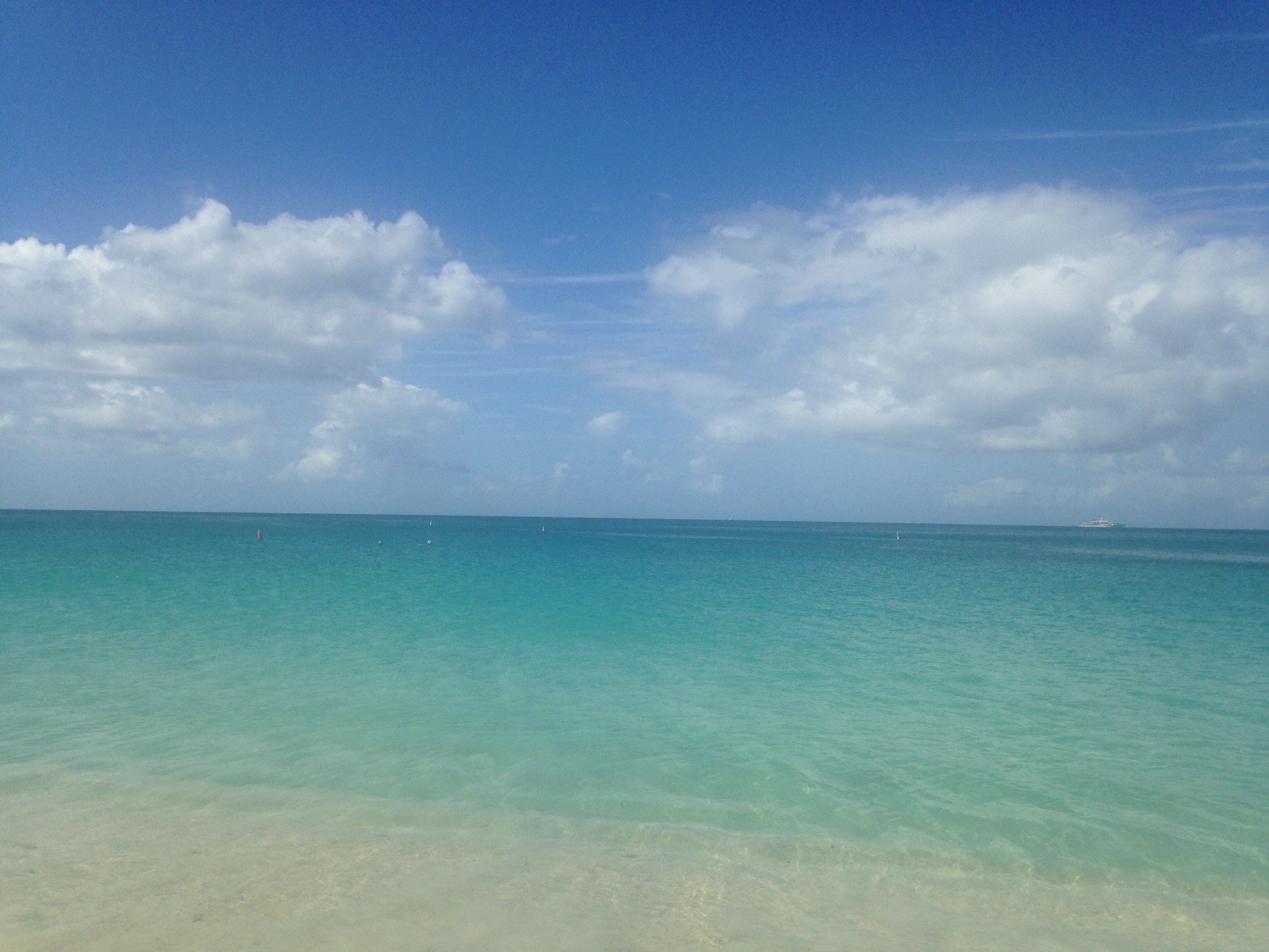 Nikita9651's profile picture. 