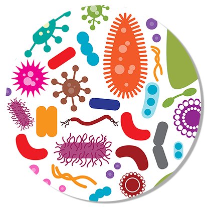 Continuous feed for microbiome, microbiota and metatranscriptome papers from PubMed, arXiv, bioRxiv, PeerJ PrePrints and F1000 Research. Run by @menegidio