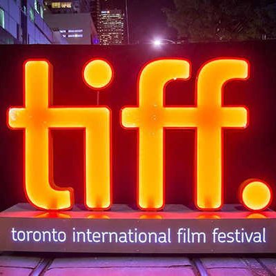 TriffyTiff's profile picture. Canadian.
I have strong opinions on pop culture, Leafs hockey and dumb people.