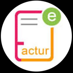 FACTUR Chile soluciones informáticas en Facturación Electronica, Boleta Electronica, Punto de Venta, Tiendas Virtuales