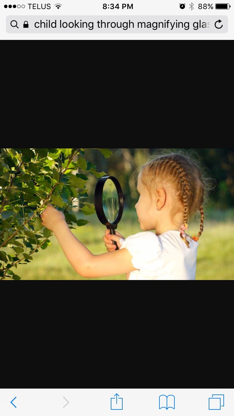 Take a look and see what we are learning in Kindergarten!