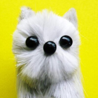映画SHARING (@sharing0401) / X