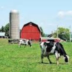 IoTAmericasLLC's profile picture. Delivering IoT impact in Rural America, connecting the unconnected and deploying solutions to the undeserved.