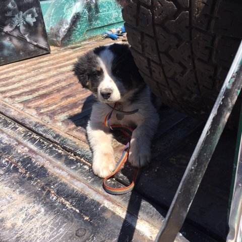 robinpost19's profile picture. 