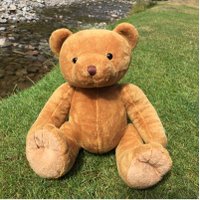 Hudson Bear (@hudsonbear1) 's Twitter Profile