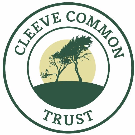 CleeveCommon Profile Picture