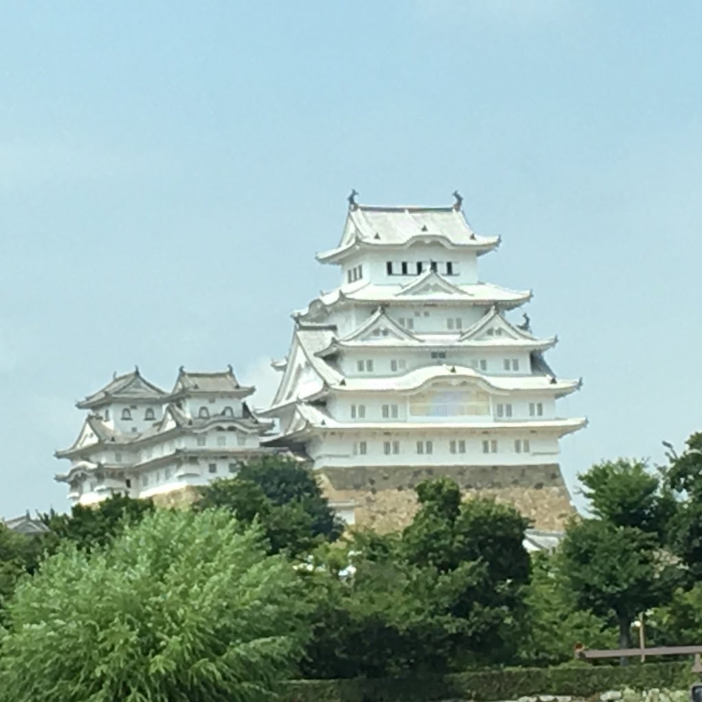 takazou3's profile picture. 最近は自転車