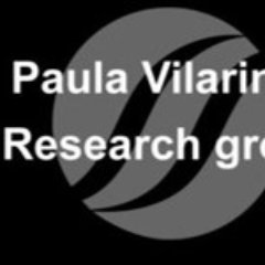 PaulaVilarinho Group