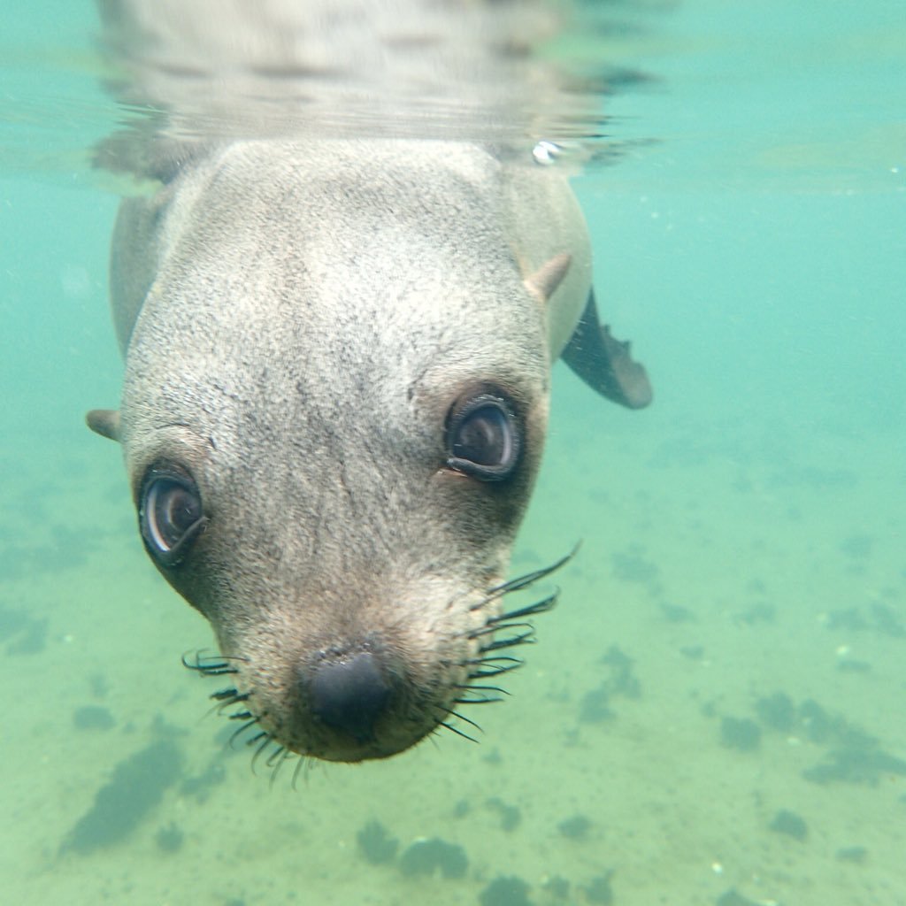 A marine ecologist with a passion for exploring.... A coach with a passion for making a difference....