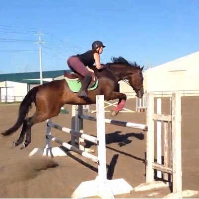 Proud mother, aspiring horse rider and Global Alliance Director at Informatica