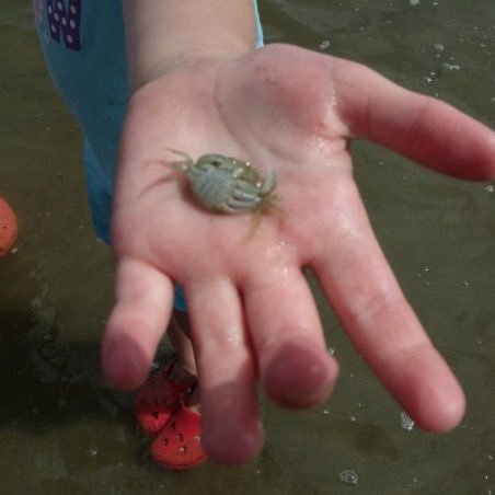 zoezoezoed's profile picture. working hard taking care of my responsibility despite great falls ill keep standing #winnersneverquit #loserskeeponbeinglosers.