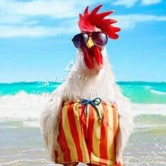 Ksammour's profile picture. happy happy happy