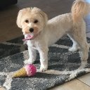 Sandra Carl - @sandyseabeaches - Twitter