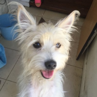 BraedynBallard's profile picture. 