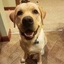 David Nunley - @DavidNunley81 - Twitter