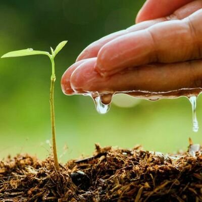 #Agriculture #our culture# farmers