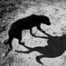 Ghost Dog (@lorenzhasanewip) Twitter profile photo Ghost Dog (@lorenzhasanewip) Twitter profile photo