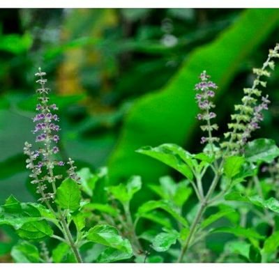 vijay73000's profile picture. never before never again